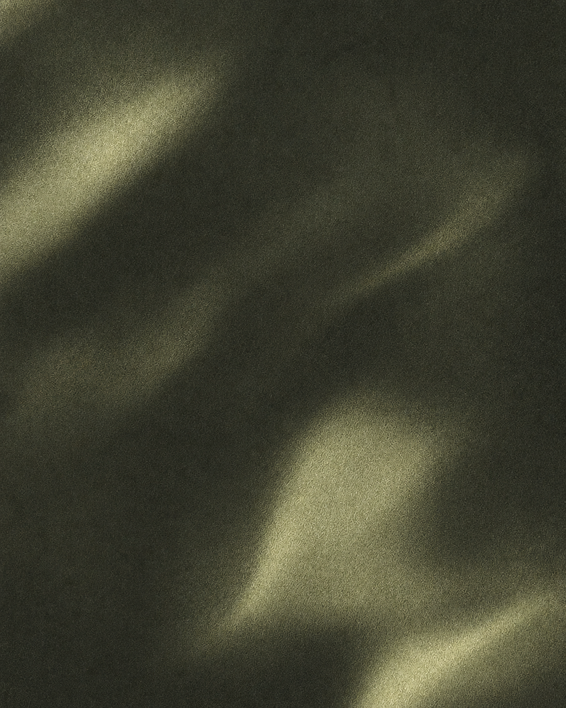 Dark olive fabric texture in soft light · Essense, the morning ritual