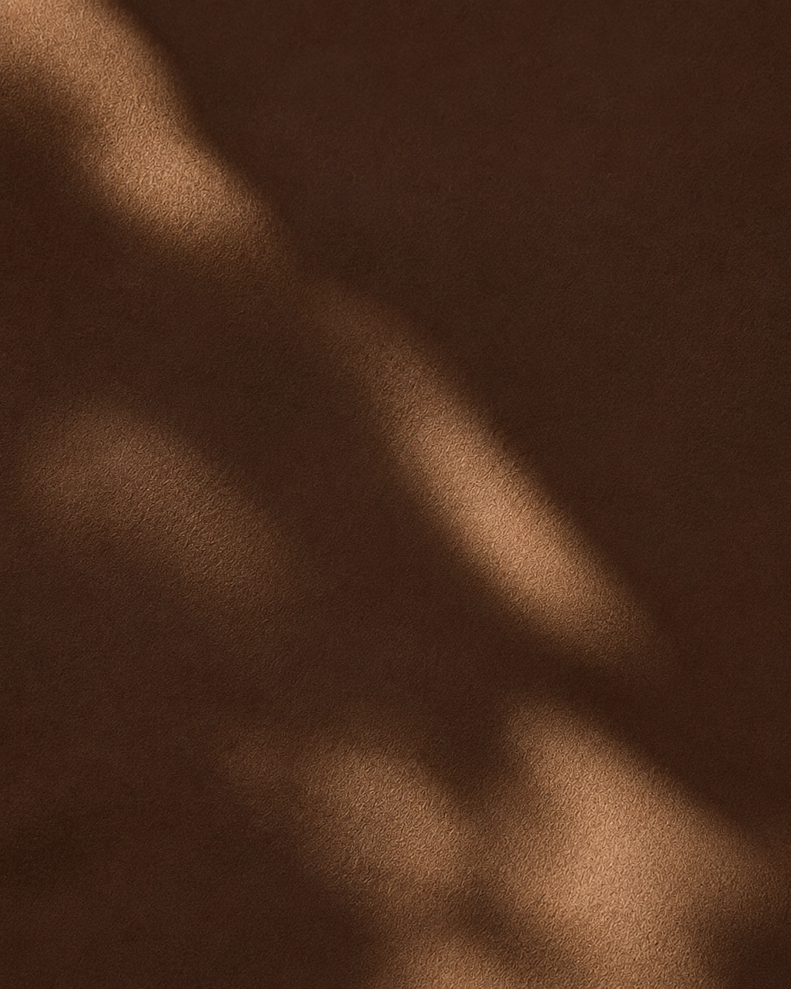 Warm brown fabric texture with dappled light · Protocol 02 Train by Essense